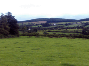 VIEW OF THE COUNTRYSIDE IN GALBALLY