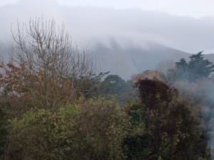Misty Mountain View
